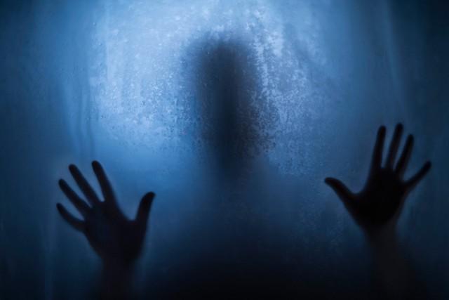 写真はイメージです（Elizabeth C. Waters／stock.adobe.com）