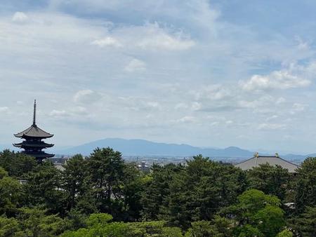 興福寺五重塔に東大寺…こんな絶景スポット知ってましたか？（makes no senseさん提供）