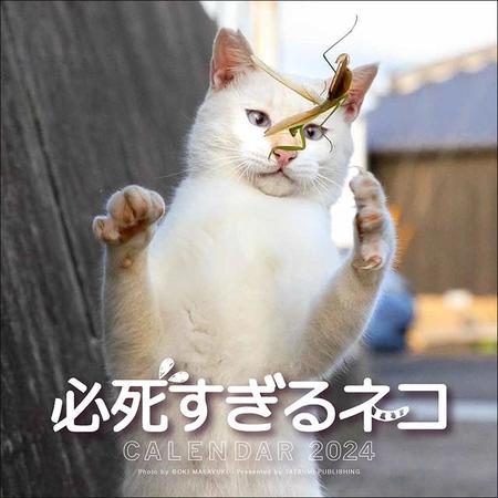 「必死すぎるネコカレンダー2024」表紙　辰巳出版/沖昌之