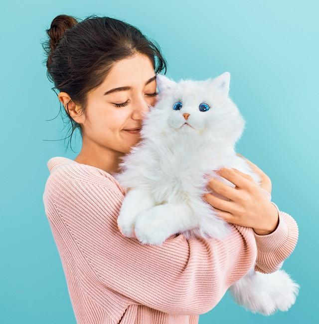 「KIMIT　ラグドール」を抱く様子©SEGATOYS