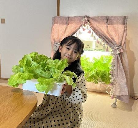 家庭内栽培キットで収穫された野菜を手にする小学女児。家族に販売して小遣いに代えるという