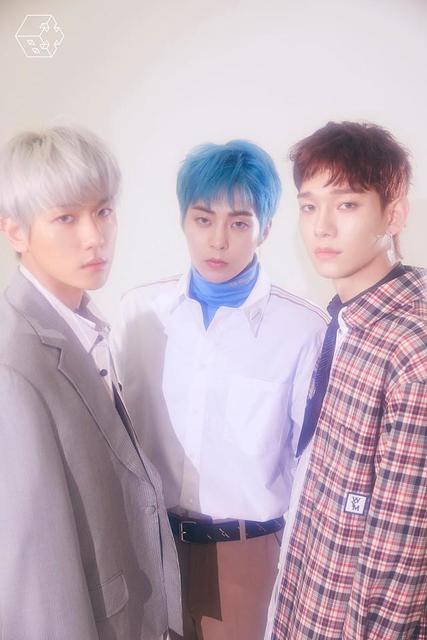 exo cbx xiumin シウミン kstarhit トレカ　ベッキョン exo cbx xiumin シウミン kstarhit トレカベッキョン