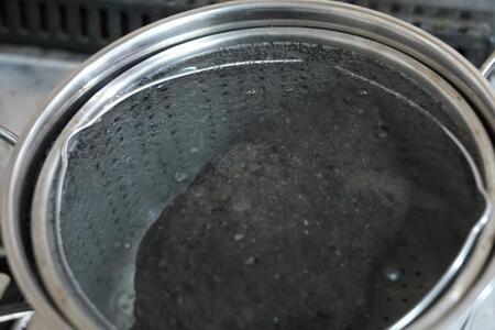 0日目。石についているかもしれない苔の胞子を全て落とすため鍋で煮込む様子。偉大なチャレンジはこの投稿から始まりました。