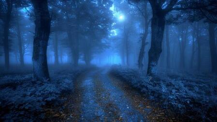 画像はイメージです（DZMITRY／stock.adobe.com）