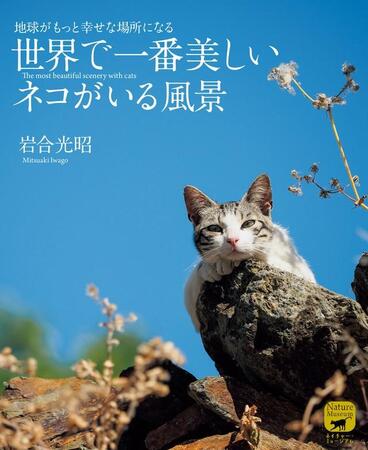 写真集「世界で一番美しい ネコがいる風景」著者:岩合光昭（誠文堂新光社）