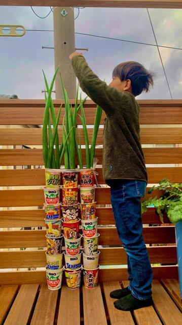 世界記録を更新中!?カップラーメンの空き容器で巨大ネギを