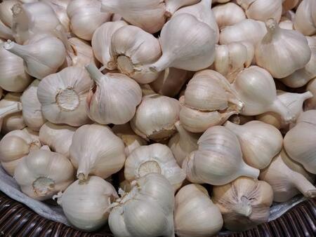 読者のみなさんはどんなニンニクを買っていますか？