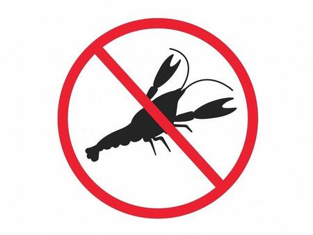 ※画像はイメージです(R-DESIGN／stock.adobe.com)