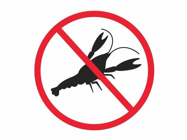 ※画像はイメージです(R-DESIGN／stock.adobe.com)