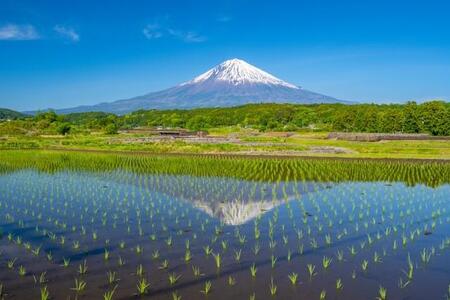 画像はイメージです（nosuke／）