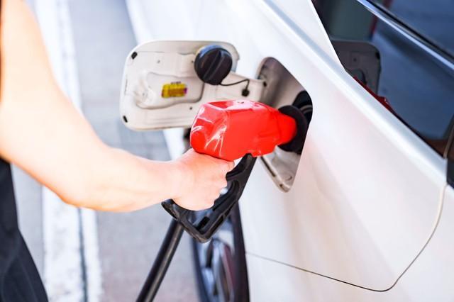 画像はイメージ（show999／stock.adobe.com）