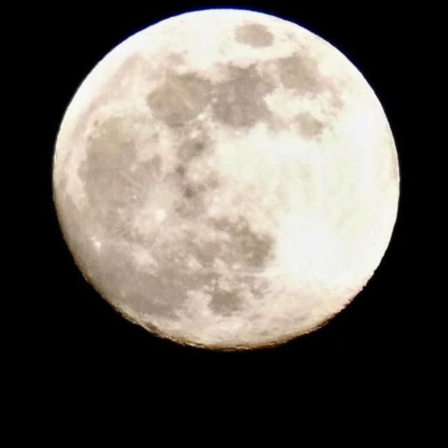 月に1兆ドル相当の貴金属がある可能性が浮上