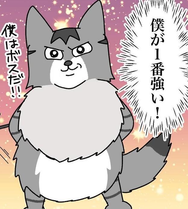 自分をボスだと思ってそうなポキ（まんぼう！さん提供）