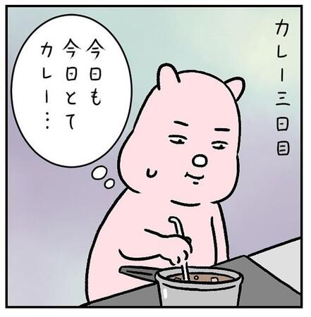 連続3日間のカレー生活（すやすや子さん提供）