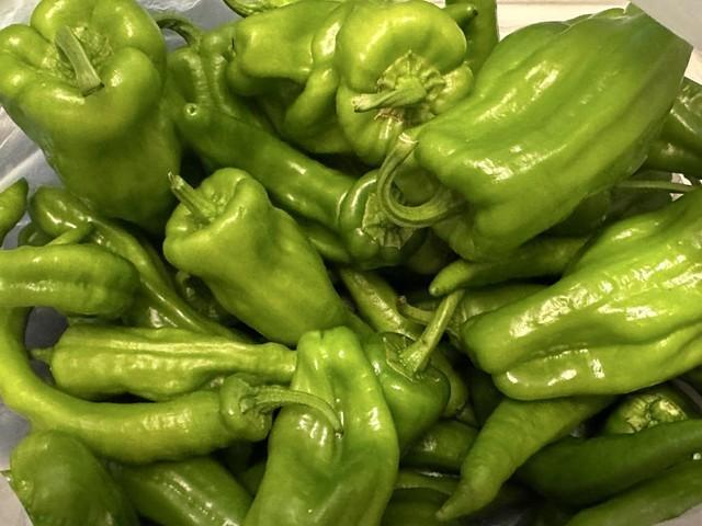 どれがどれ？お裾分けしてもらったピーマン、ししとう、万願寺とうがらし＝「騎空士鮫ミンよりも遠い場所」さんのX（@usa_akasa）より