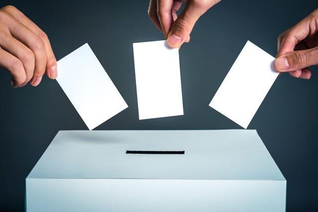 画像はイメージ（beeboys／stock.adobe.com）