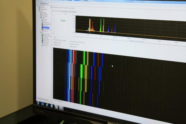 分析は人間の親子鑑定にも使われる「マイクロサテライト解析」で行なわれた　写真：兼子伸吾（福島大学）