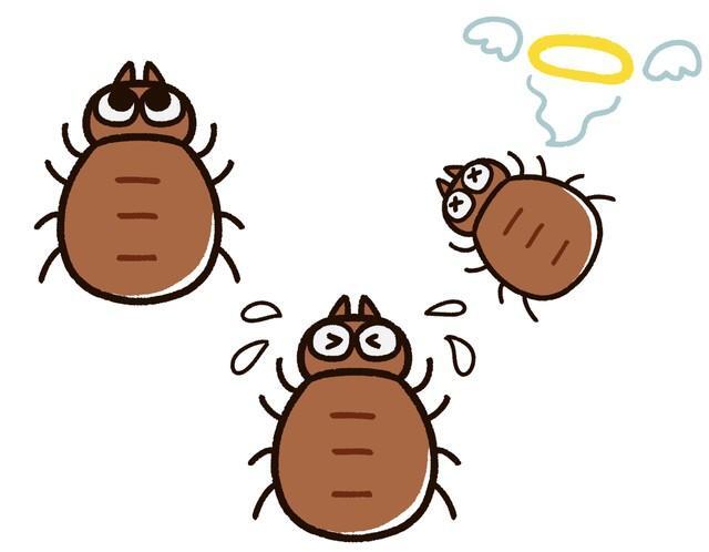 画像はイメージ（ゆりゆりのゆり／stock.adobe.com）