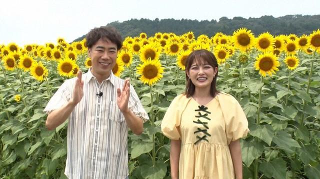 MCの藤井隆（左）と井上咲楽＝「新婚さんいらっしゃい！」8月24日放送回よりⓒABCテレビ