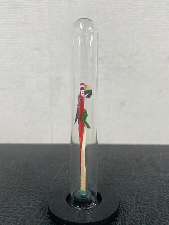 こちらが話題の鳥（んちゅたぐいさん提供） 