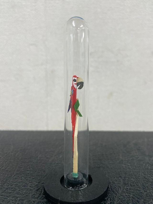 こちらが話題の鳥（んちゅたぐいさん提供） 