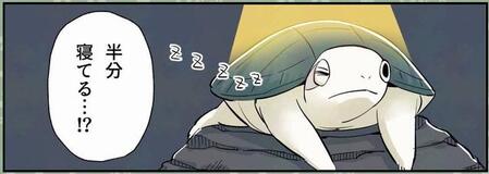 ライトを当てられても“半分”寝ている亀の様子　©︎カメユ