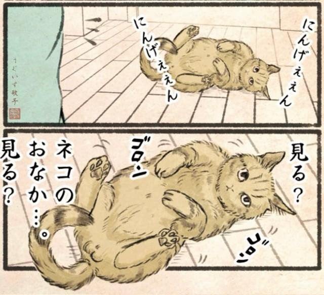 おなか…見る？（うぐいす歌子さん提供）