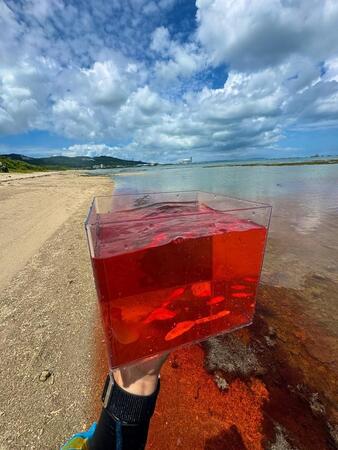 ヱヴァンゲリヲンのように赤い水が…
