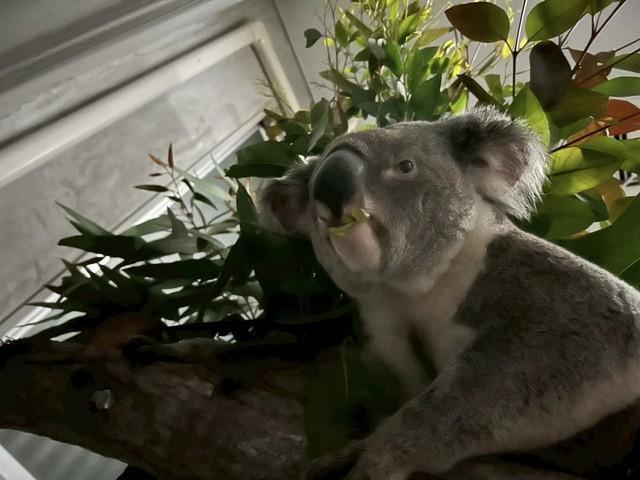 来園当初のノゾム (1)心なしか表情が硬い気が…