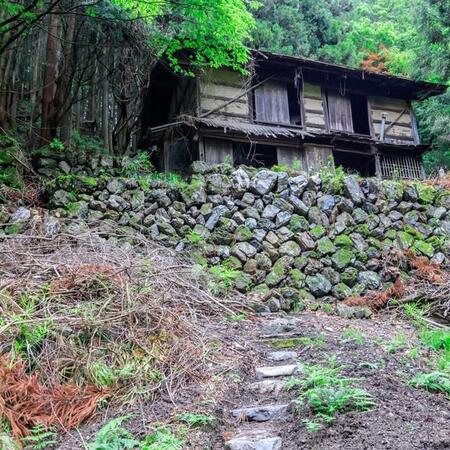 相続した故郷の山林ってどうしたらいいの？　※画像はイメージです（ あおねこ06/photoAC）