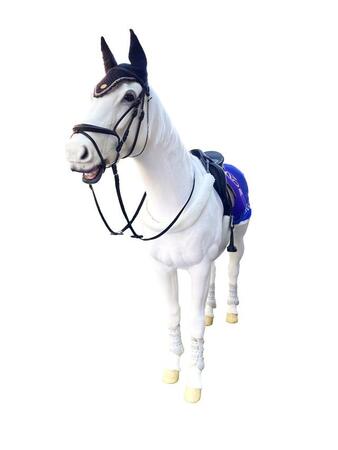 イベントによっては白馬に乗れる体験も