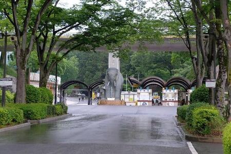 多摩動物公園(c)kawamura_lucy/stock.adobe.com