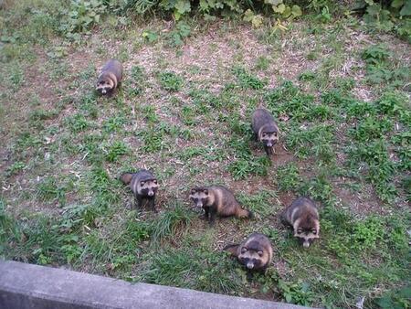 「今年のメンバーです」