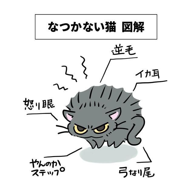 なつかない猫図説