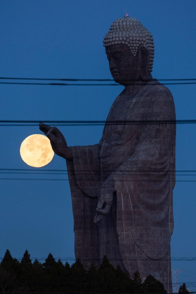 合成なし一発撮り「満月と牛久大仏