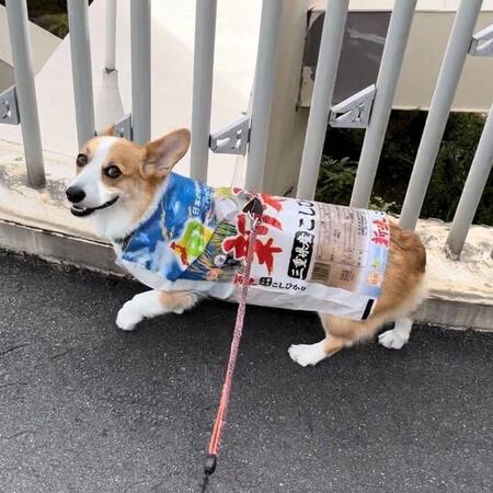 米袋に身を包む閣下