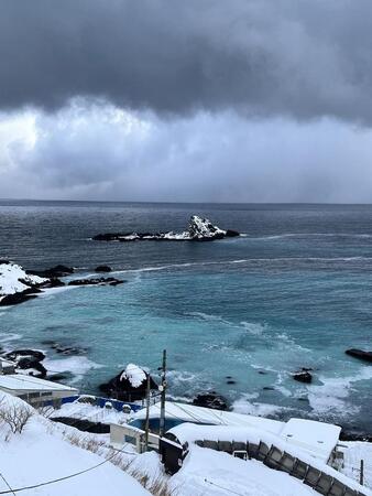 生き物が作り出す神秘的な光景「群来（くき）」