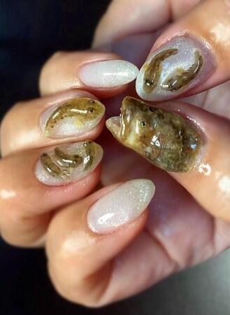 爪の上で壮絶なシーンが…（クロエさん提供）