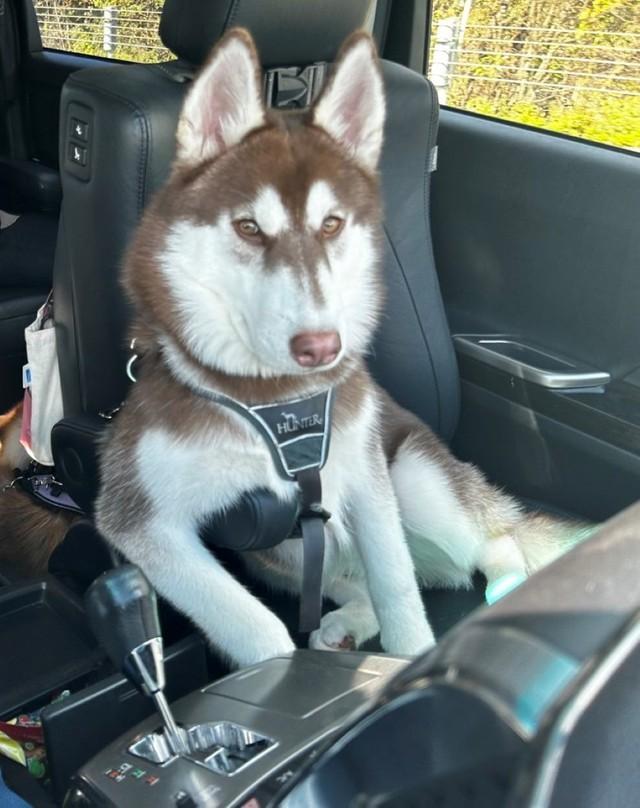 正面から見るとこんな顔