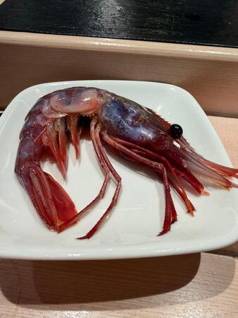 羅臼のボタンエビをご存知ですか？（Yosisyunさん提供）