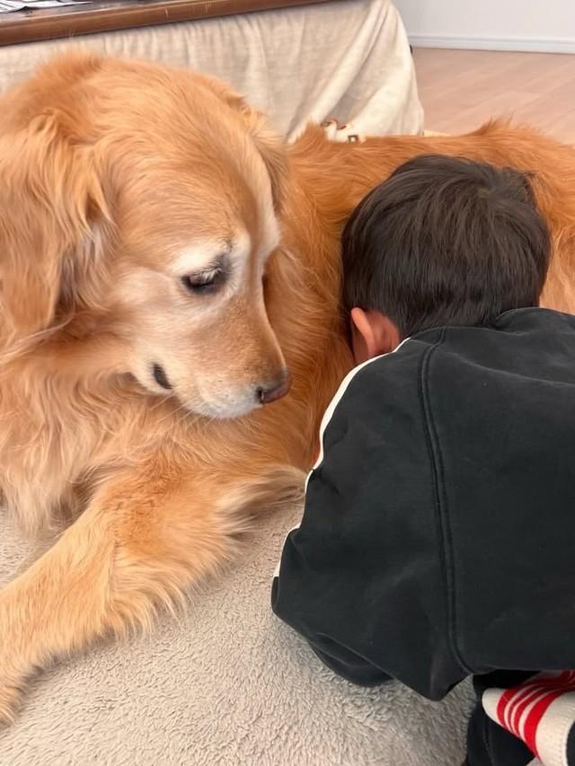 お友達と喧嘩した日。慰め上手なきなこ（きなこと三兄弟さん提供） 