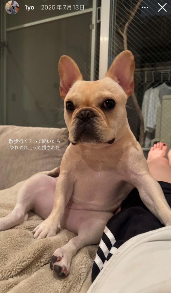 迷惑そうな表情のハムちゃん