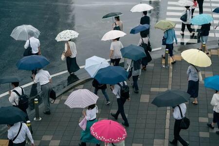 画像はイメージです（naka／stock.adobe.com）