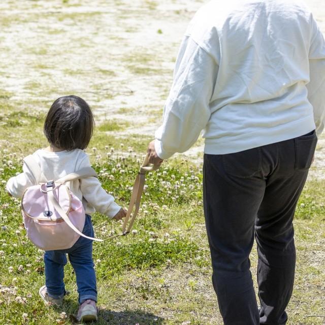 非難されることもある子ども用ハーネス　※画像はイメージです（ぷー気分/photoAC）