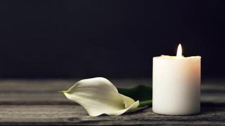 ※写真はイメージです（出典：izzzy71/stock.adobe.com）