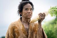 ＮＨＫ大河ドラマ「豊臣兄弟！」より