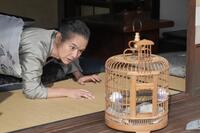 カナリアがいないことに気が付いた珠の父・清治（渡部篤郎）は…