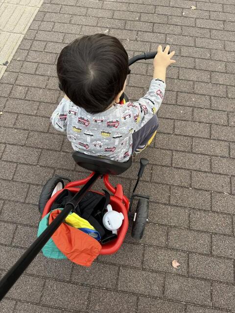 でこぽん（＠ｄｅｋｏｐｏｎ＿ｃｈａｐａ）さん提供