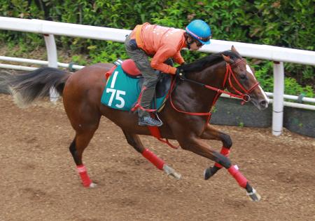 　佐藤哲を背に栗東坂路で追い切るドントタッチミー