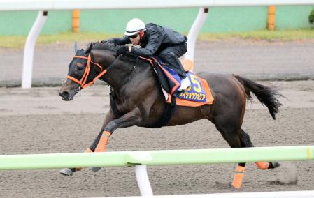 　ダートコースで追い切るメイショウクオリア＝函館競馬場（撮影・田村亮介）
